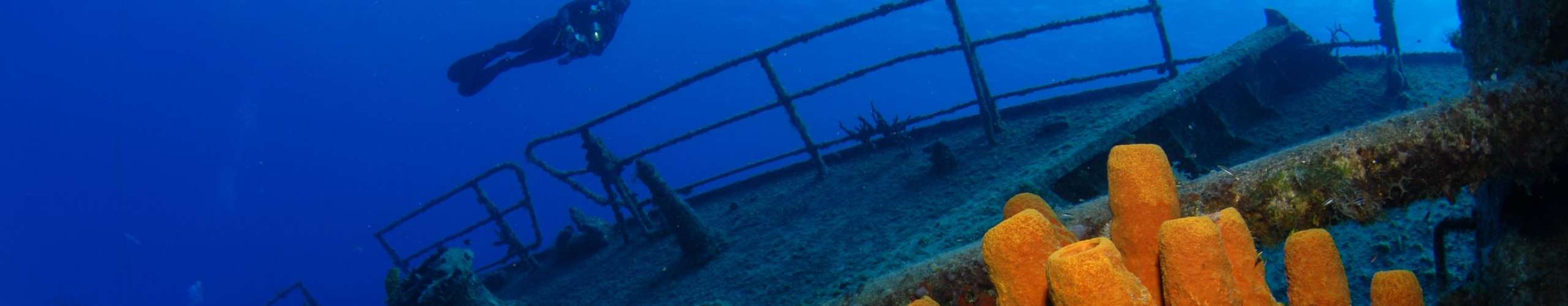 Trip Review : Cayman Island