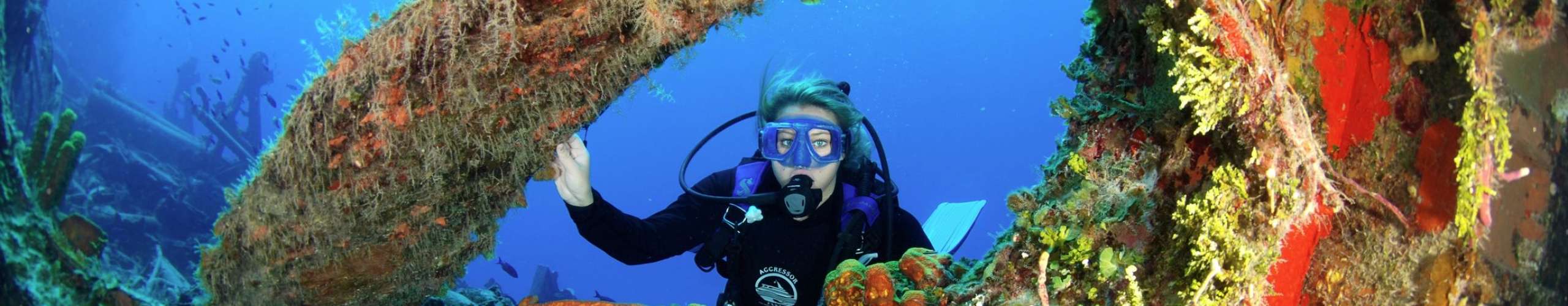 The road to a dive Pro