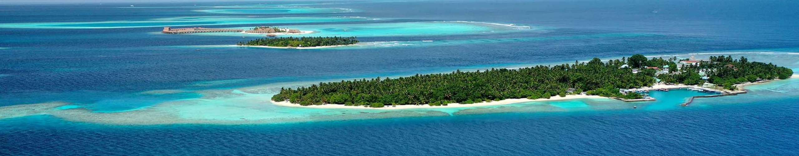 Maldives Diving Tragedy