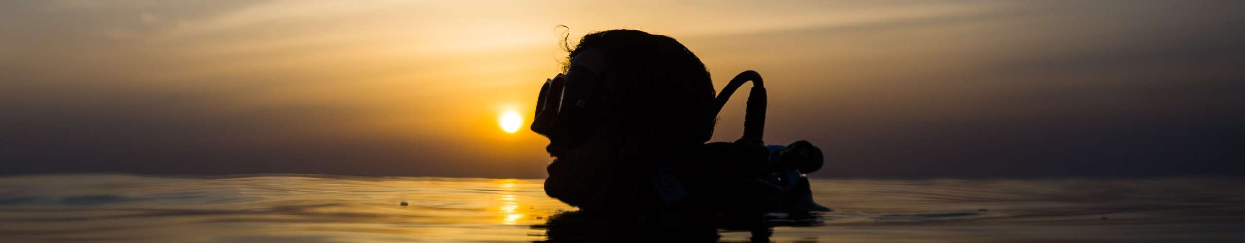 Night Dives