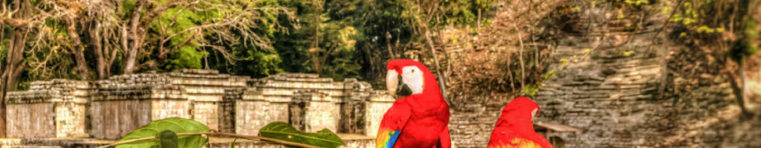 Dominican Republic