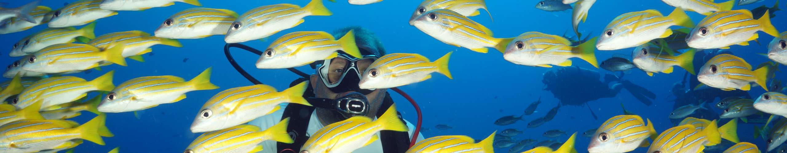 10 Things for Divers to Avoid