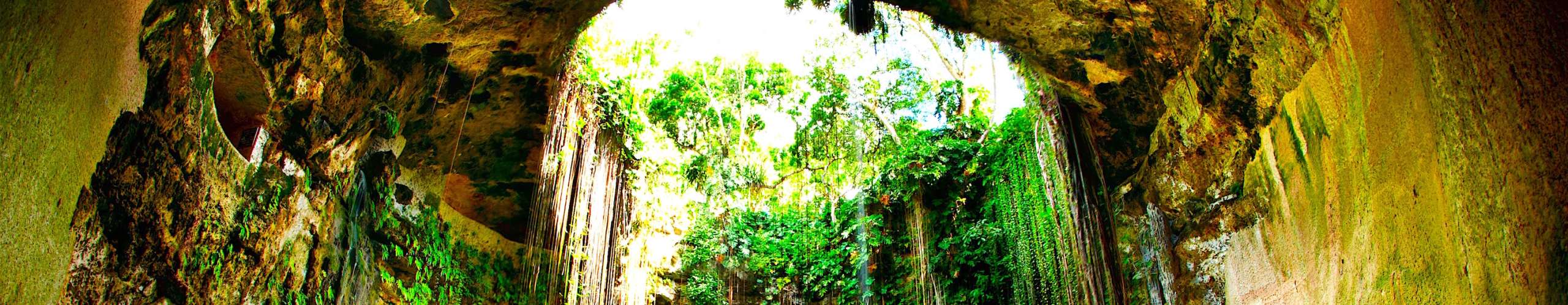 Dive in the Mexican Cenotes