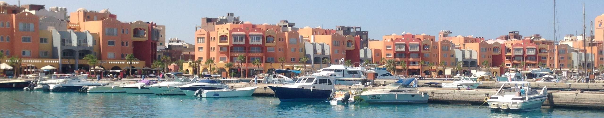 Seafari  : French diving operator in Egypt