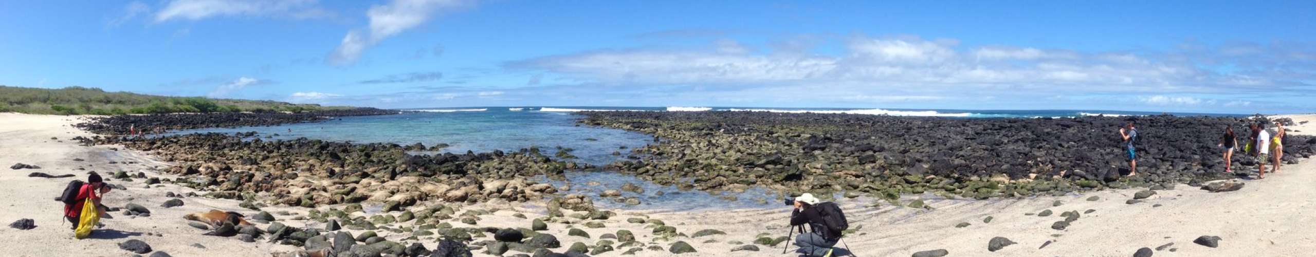 Wild Galapagos