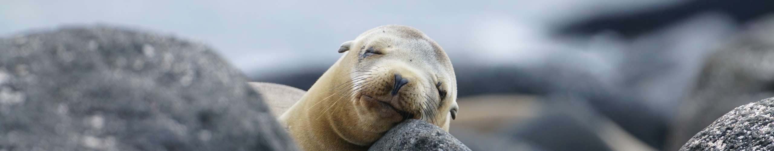 Trip Review : Galapagos