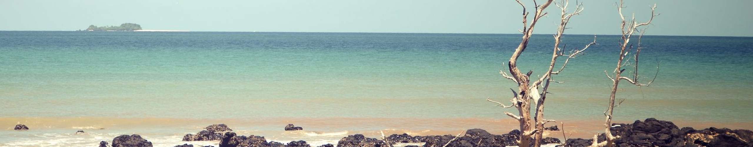 Madagascar‘s secret