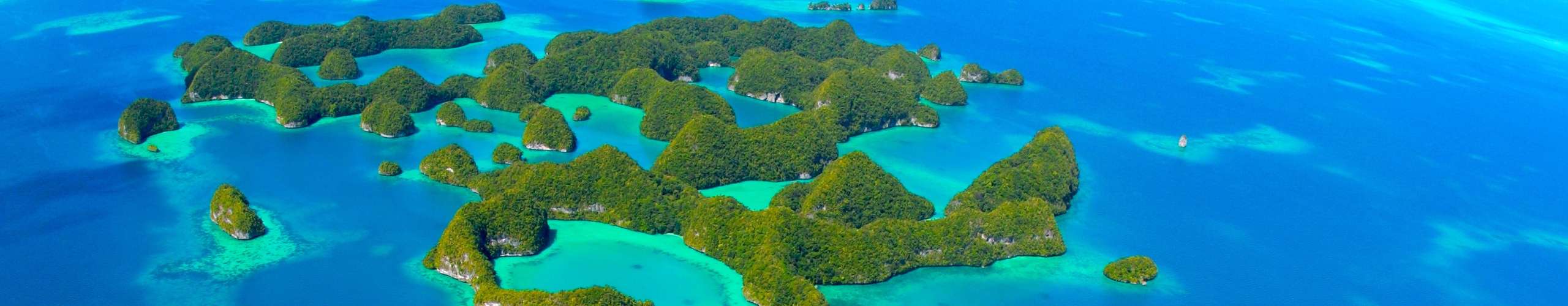 Pristine Paradise