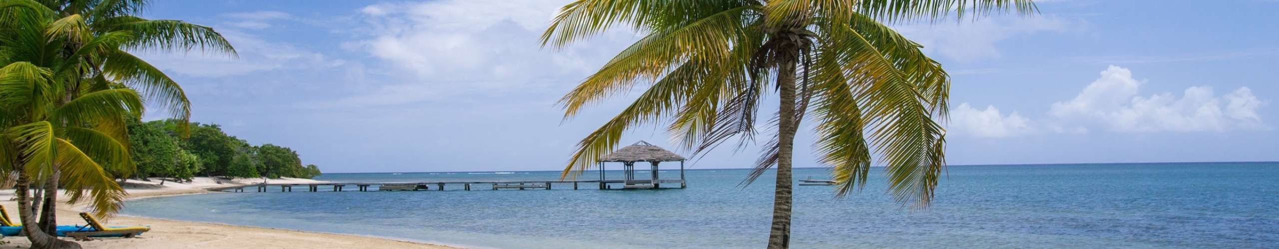 Roaming Roatan