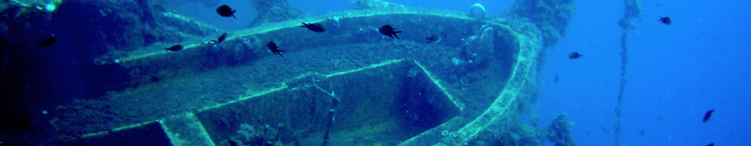 Zenobia Wreck Dive