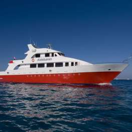 Aldebaran - Egypt - 7 nights