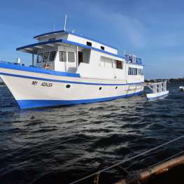 Azalea Philippines - Philippines - 6 nights Azalea Philippines - Philippines - 6 nights