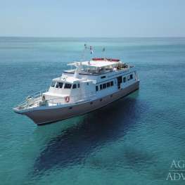 Belize Aggressor 5