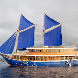 Cajoma 5