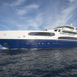 Maldives Aggressor 2