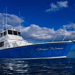 Shear Water
