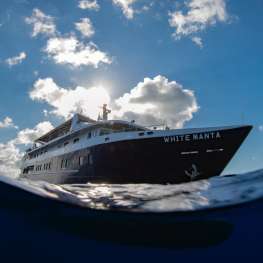 White Manta - Banda Sea - 11 nights White Manta - Banda Sea - 11 nights
