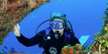 The road to a dive Pro