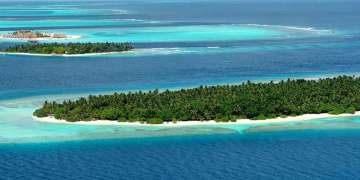 Maldives Diving Tragedy