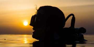 Night Dives