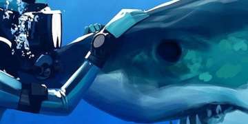 50 Shark Facts