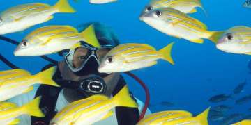 10 Things for Divers to Avoid