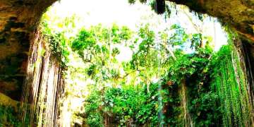 Dive in the Mexican Cenotes