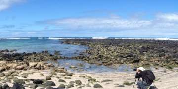 Wild Galapagos