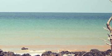 Madagascar‘s secret
