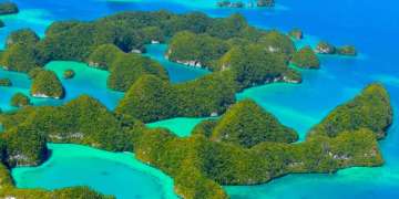 Pristine Paradise