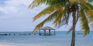 Roaming Roatan