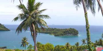The Hidden Paradise