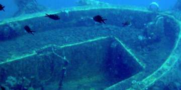 Zenobia Wreck Dive