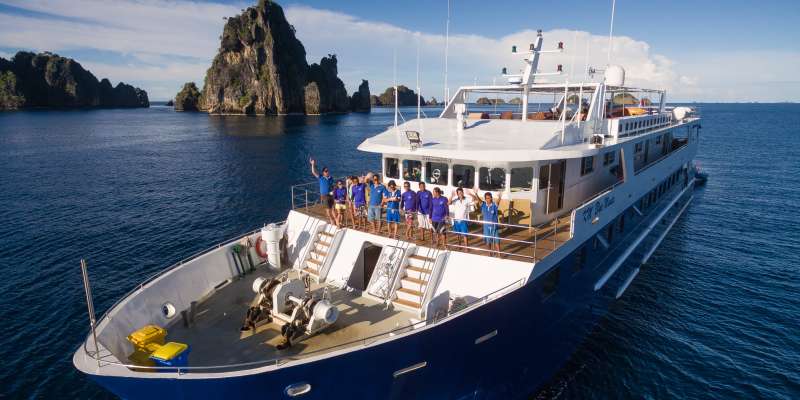 Blue Manta