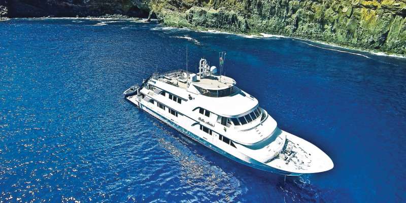 Nautilus Belle Amie