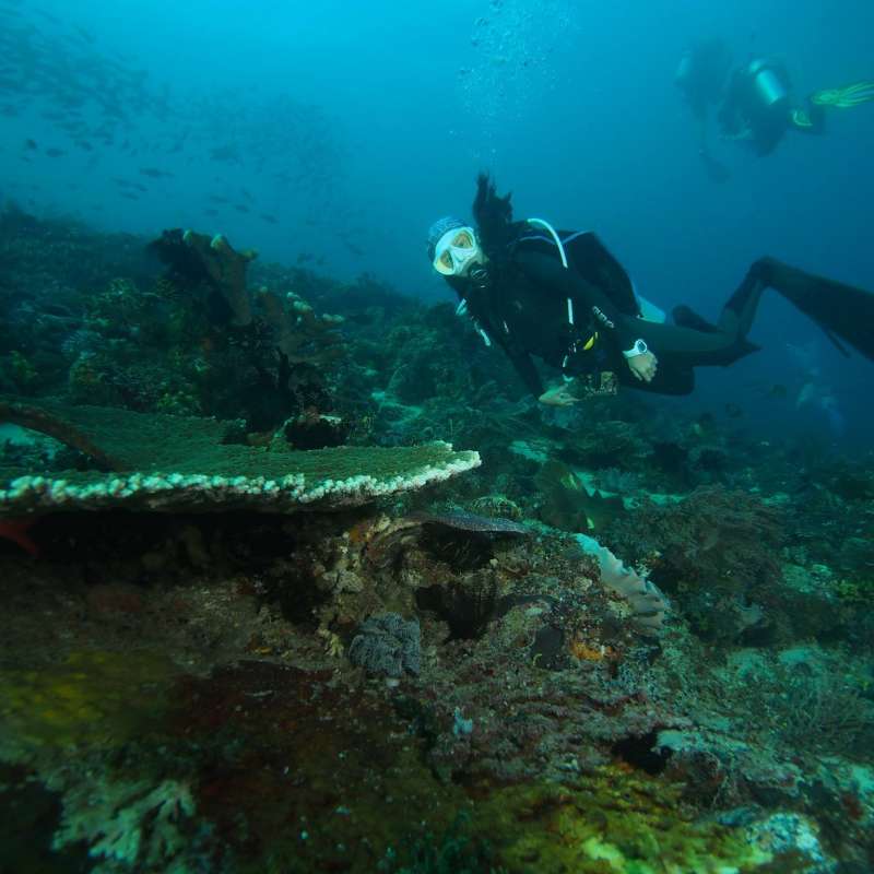 Trip report : Komodo