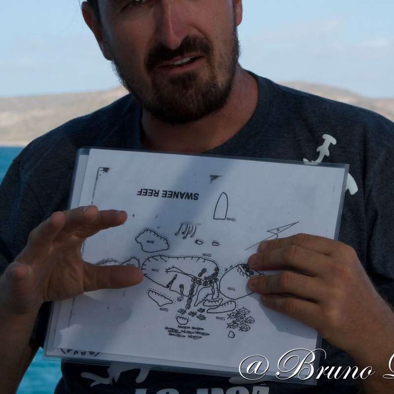 Dive into Sea of Cortez