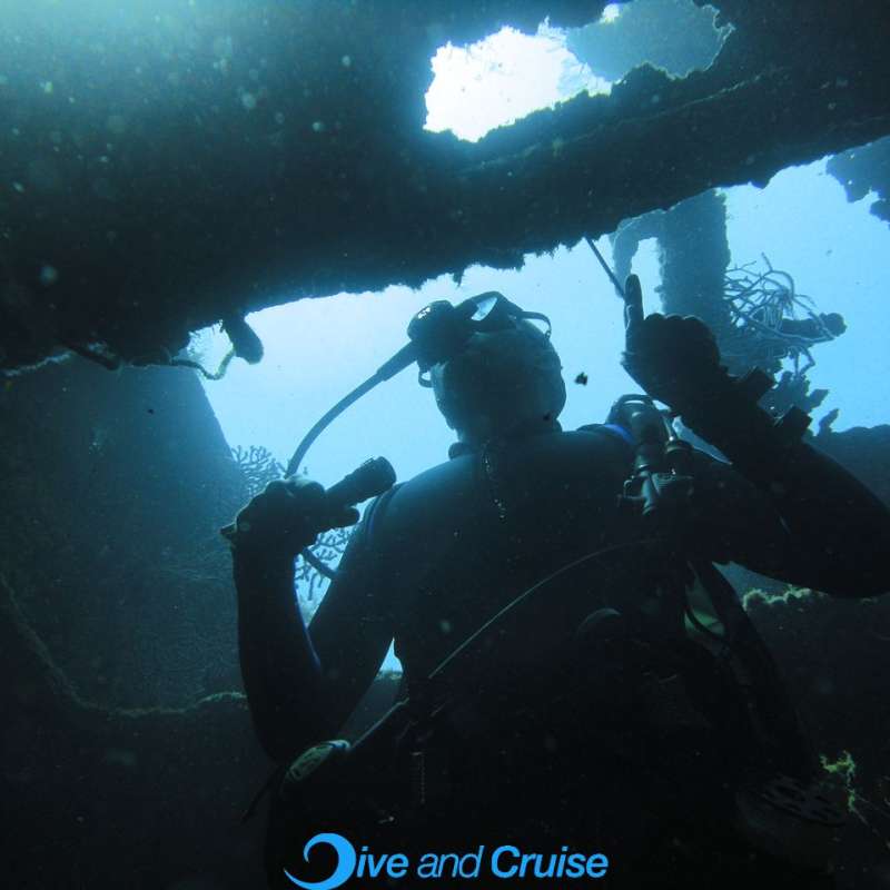 Diving in Layang Layang