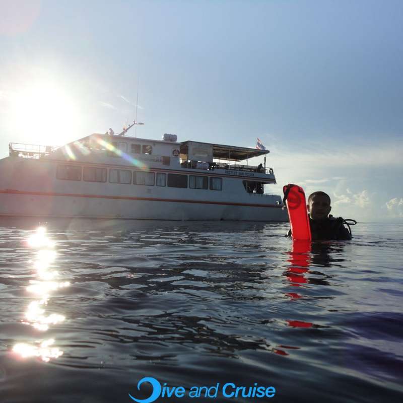 Diving in Layang Layang