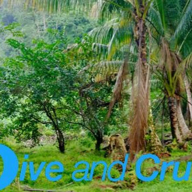 Isla Del Coco