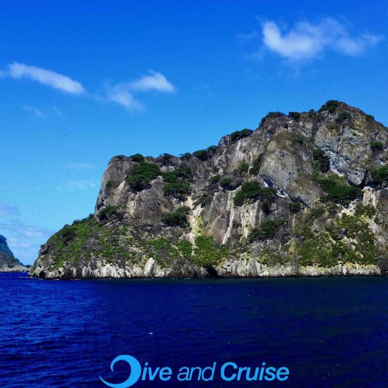 Isla Del Coco