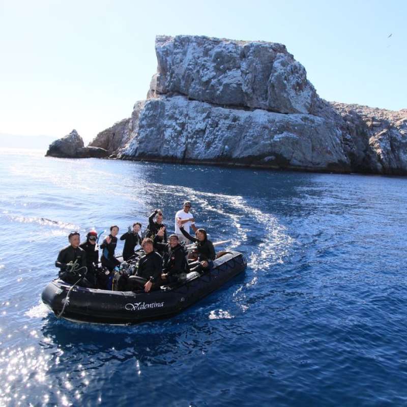 Trip Review: Sea of Cortez