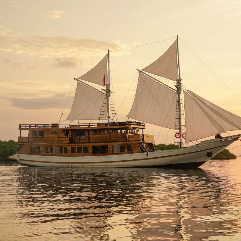 Sundari Voyages