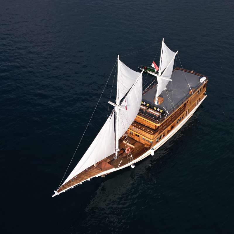Sundari Voyages