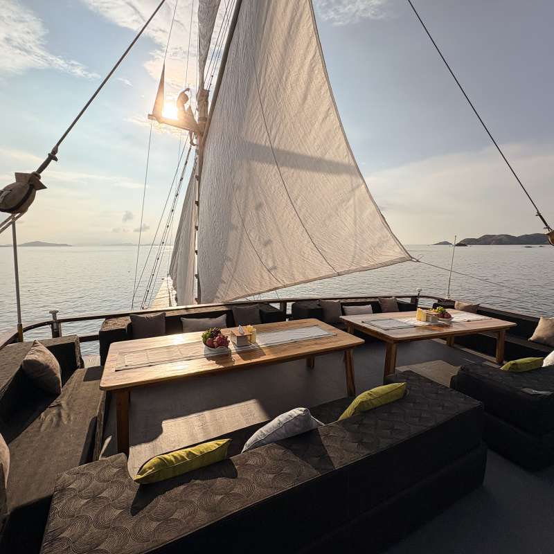 Sundari Voyages