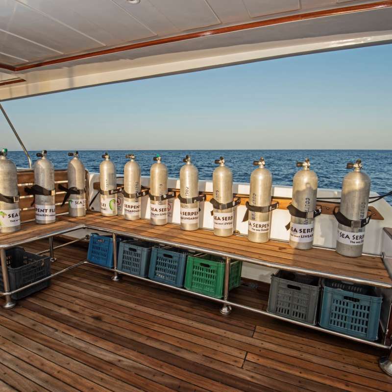 SS Serena Dreams SS Serena Dreams