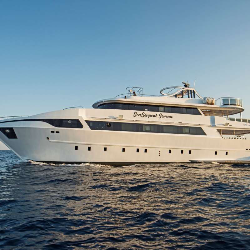 SS Serena Dreams SS Serena Dreams