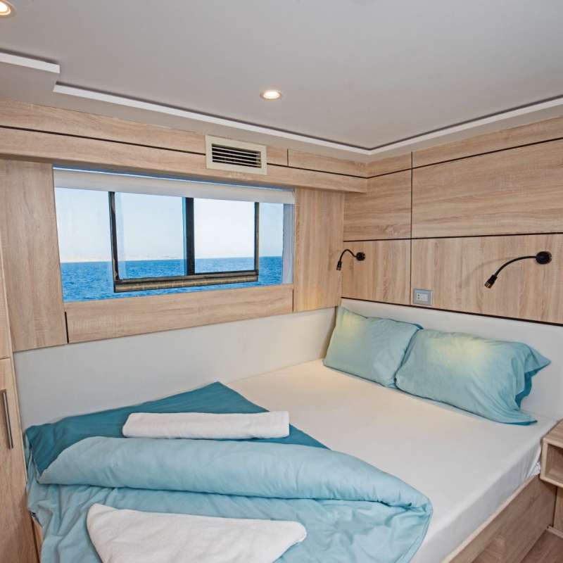 SS Serena Dreams SS Serena Dreams
