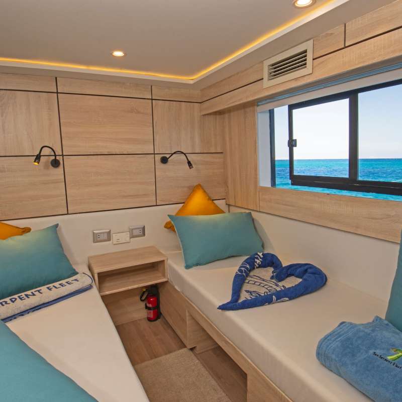 SS Serena Dreams SS Serena Dreams
