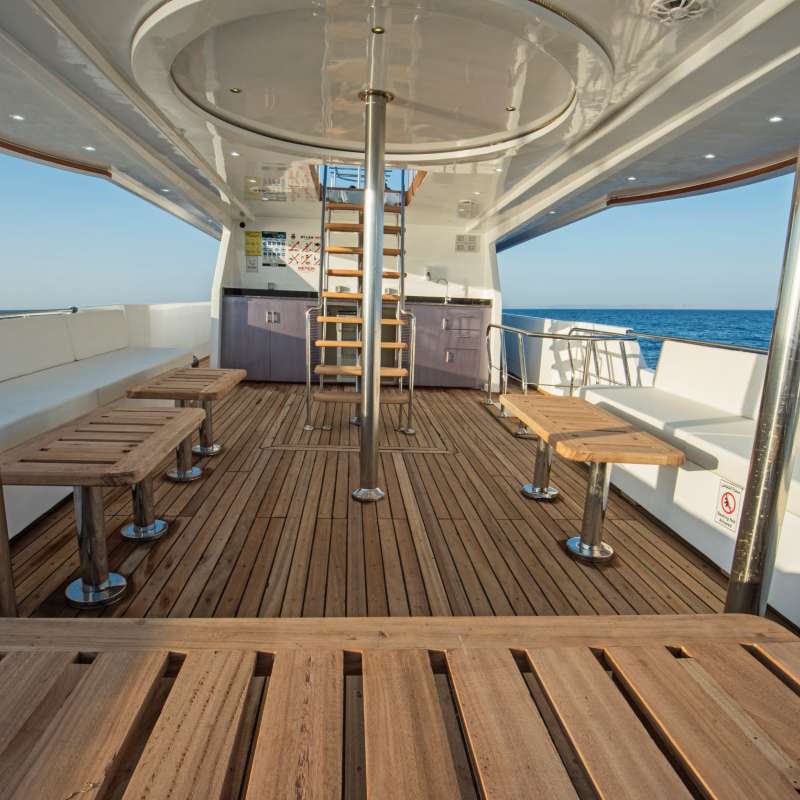 SS Serena Dreams SS Serena Dreams